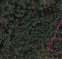Grundstück zu verkaufen in Dierstorf Heide (Wenzendorf) 295.000,00 € 2841 m²