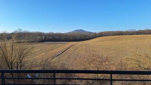 Foto - Wohnung zum Mieten in Görlitz 288,00 € 48 m²