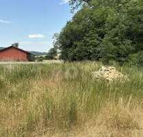 Grundstück zu verkaufen in Haigerloch 290.000,00 € 1312 m²