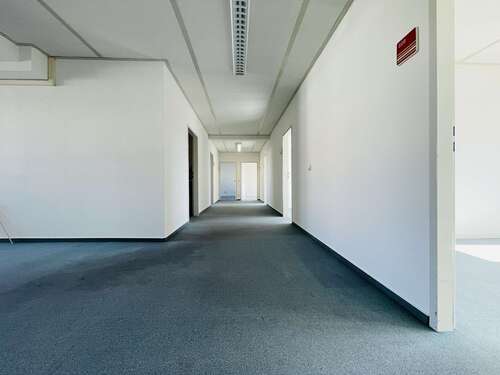 Foto - Büro in Salzgitter 2.353,00 € 181 m²