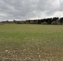 Grundstück in Moosthenning Lengthal 353.794,00 € 25271 m² - Moosthenning / Lengthal