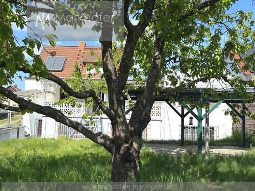 Foto - Haus zum Kaufen in Homburg 299.000,00 € 140 m²