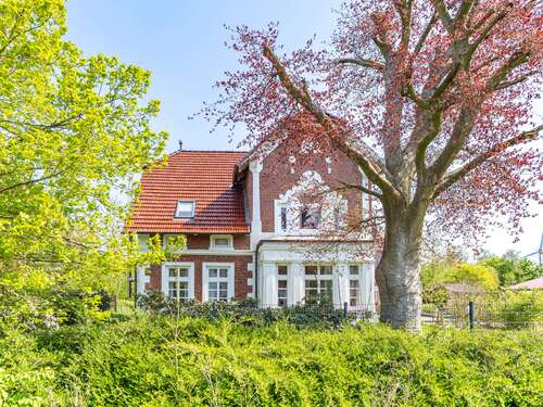 Foto - Haus zum Kaufen in Volsemenhusen 985.000,00 € 400 m²