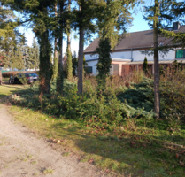 Haus zum Kaufen in Groß Kreutz (Havel) 639.000,00 € 214.74 m²