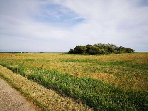 Foto - Grundstück zu verkaufen in Sylt 29.000,00 € 5495 m²
