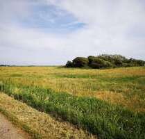 Grundstück zu verkaufen in Sylt 29.000,00 € 5495 m²