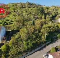 Grundstück zu verkaufen in Lauda-Königshofen 79.000,00 € 2528 m²