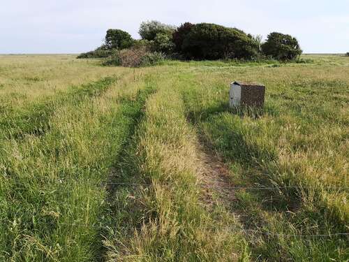 Foto - Grundstück in Sylt 29.000,00 € 5495 m²