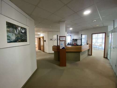 Foto - Büro in Reutlingen 2.950,00 € 220 m²