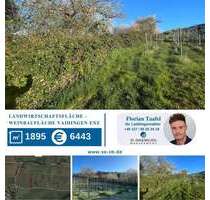 Grundstück zu verkaufen in Vaihingen an der Enz 5.900,00 € 1895 m²