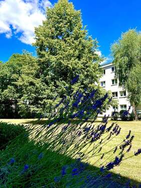 Foto - Wohnung zum Kaufen in Frankfurt am Main 450.000,00 € 62 m²