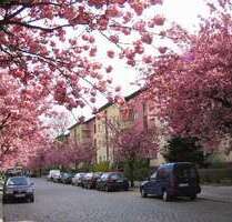 Wohnung zum Mieten in Berlin 804,00 € 50.25 m²