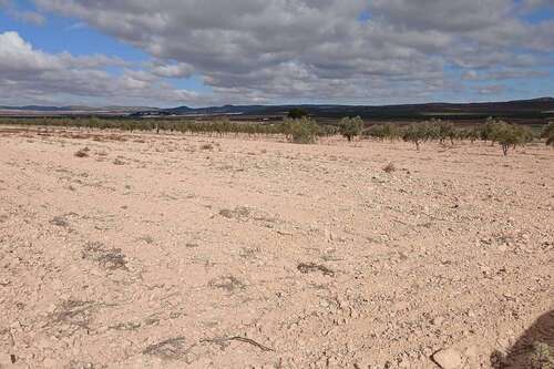 Foto - Grundstück zu verkaufen in Yecla 216.460,00 € 110312 m²