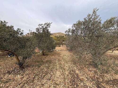 Foto - Grundstück zu verkaufen in Onil 90.000,00 € 8700 m²