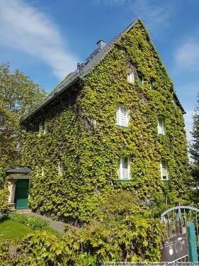 Foto - Haus zum Kaufen in Limbach-Oberfrohna 340.000,00 € 138 m²