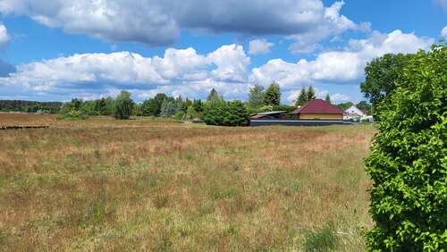 Foto - Grundstück zu verkaufen in Schönwald 99.990,00 € 1187 m²