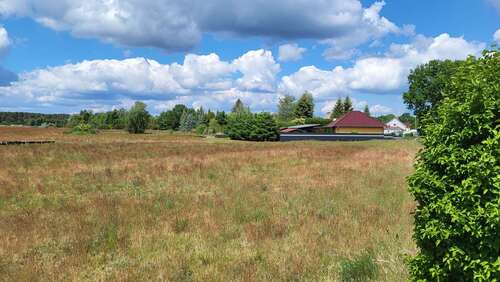 Foto - Grundstück zu verkaufen in Schönwald 99.990,00 € 1187 m²