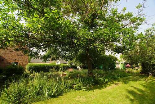 Foto - Grundstück zu verkaufen in Schkopau-Hohenweiden 99.000,00 € 775 m²