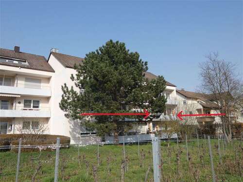Foto - Wohnung zum Kaufen in Deidesheim 193.000,00 € 66 m²