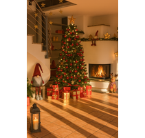 Haus zum Kaufen in Köln 1.850.000,00 € 224 m²