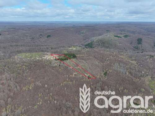 Foto - Grundstück in Sangerhausen Großleinungen 6.500,00 € 15085 m²