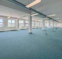 Halle in Witten 1.755,00 € 390 m²