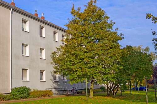 Foto - Wohnung zum Mieten in Duisburg 409,00 € 40.5 m²