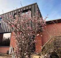 Haus zum Kaufen in Baltmannsweiler 495.000,00 € 165 m²