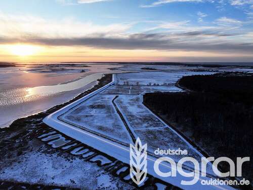 Foto - Grundstück in Zingst 119.900,00 € 148139 m²