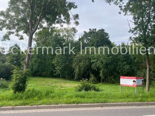 Foto - Grundstück zu verkaufen in Fürstenhagen 69.800,00 € 1517 m²