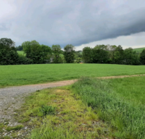 Grundstück zu verkaufen in Sachsen - Rechenberg - Bienenmühle 300.000,00 € 12000 m²