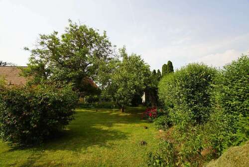 Foto - Grundstück zu verkaufen in Schkopau-Hohenweiden 95.000,00 € 743 m²