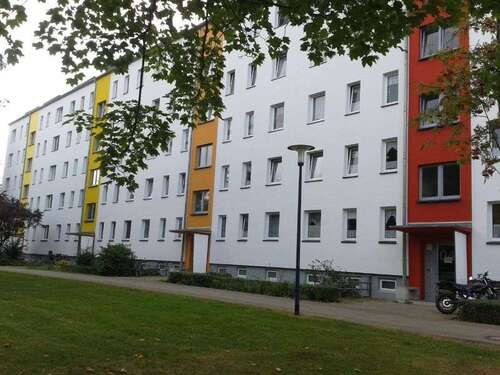 Foto - Wohnung zum Mieten in Stralsund 425,74 € 60.82 m²