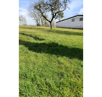 Grundstück zu verkaufen in Neustadt (Wied) 130.000,00 € 1200 m²