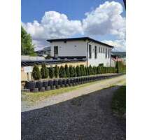 Haus zum Kaufen in Grafenau 580.000,00 € 220 m²