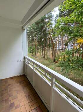 Foto - Wohnung zum Mieten in Jessen 435,50 € 67 m²
