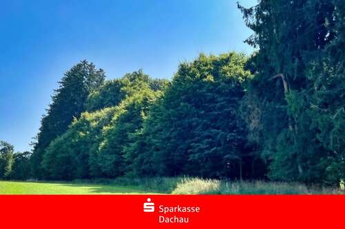 Foto - Grundstück in Altomünster 39.000,00 € 5048 m²