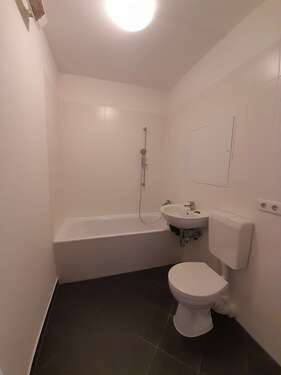 Foto - Wohnung zum Mieten in Dresden 357,00 € 47.43 m²