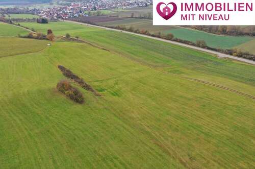 Foto - Grundstück in Dischingen 68.500,00 € 17660 m²