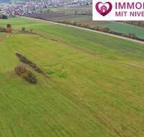 Grundstück in Dischingen 68.500,00 € 17660 m²