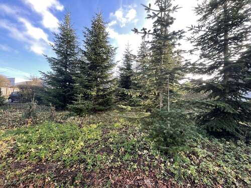 Foto - Grundstück zu verkaufen in Coesfeld 221.250,00 € 590 m²