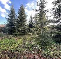 Grundstück zu verkaufen in Coesfeld 221.250,00 € 590 m²