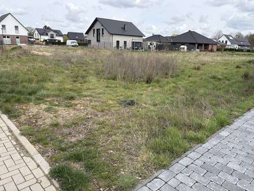 Foto - Haus zum Kaufen in Langlingen 327.500,00 € 166 m²
