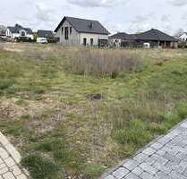 Haus zum Kaufen in Langlingen 327.500,00 € 166 m²