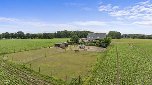 Foto - Haus zum Kaufen in Bedburg-Hau Hasselt 524.500,00 € 189 m²