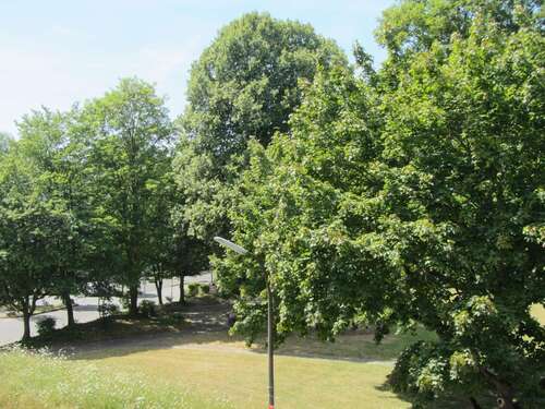 Foto - Wohnung zum Kaufen in Alfter Bonn 239.000,00 € 56.74 m²