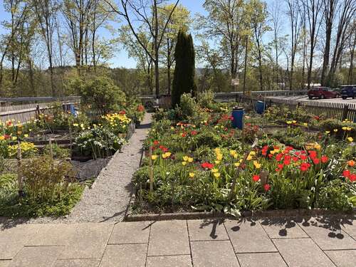 Foto - Wohnung zum Mieten in Miesbach 750,00 € 52 m²