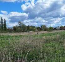 Grundstück zu verkaufen in Wittenburg 195.000,00 € 12007 m²