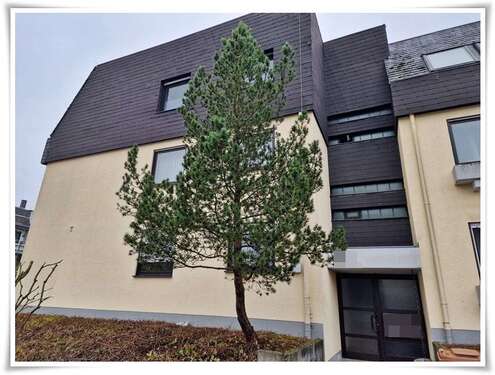 Foto - Wohnung zum Kaufen in Oppenheim 157.000,00 € 49 m²