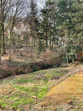Foto - Grundstück zu verkaufen in Birkenau-Löhrbach 325.000,00 € 1167 m²